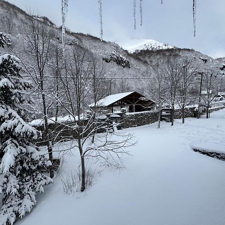 Biocinovici Vikendica Villa Kolašin Екстериор снимка