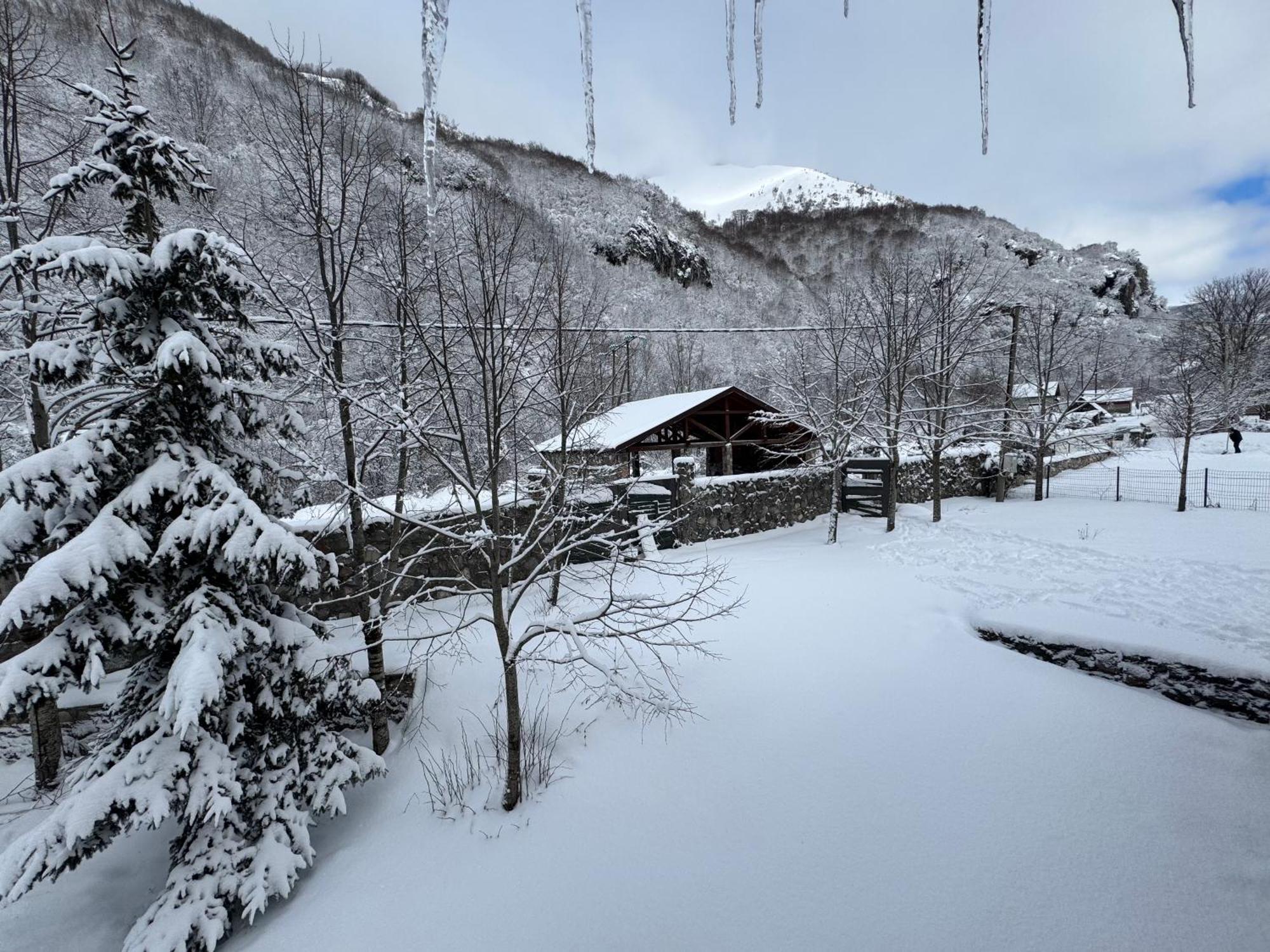 Biocinovici Vikendica Villa Kolašin Екстериор снимка